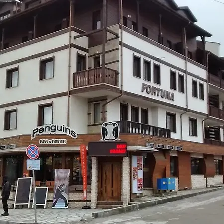 Lux 45 In Fortuna Lejlighed Bansko